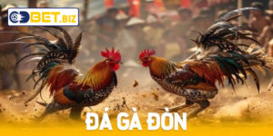 Đá Gà Đòn Thomo - Trải Nghiệm Kịch Tính Tại Cdbet