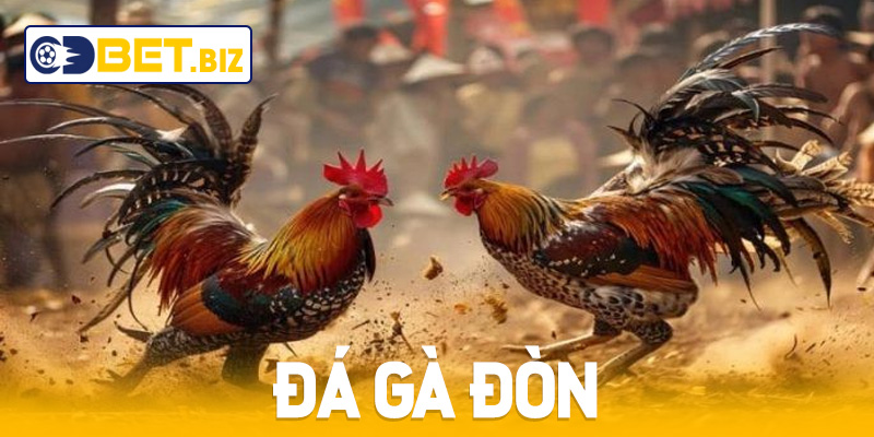 Đá Gà Đòn Thomo - Trải Nghiệm Kịch Tính Tại Cdbet
