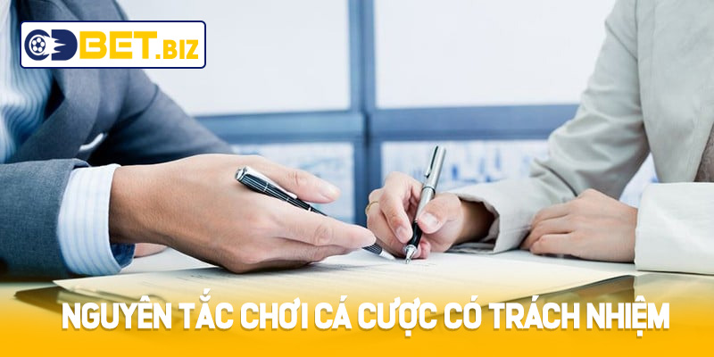 Nguyên tắc chơi cá cược có trách nhiệm Cdbet