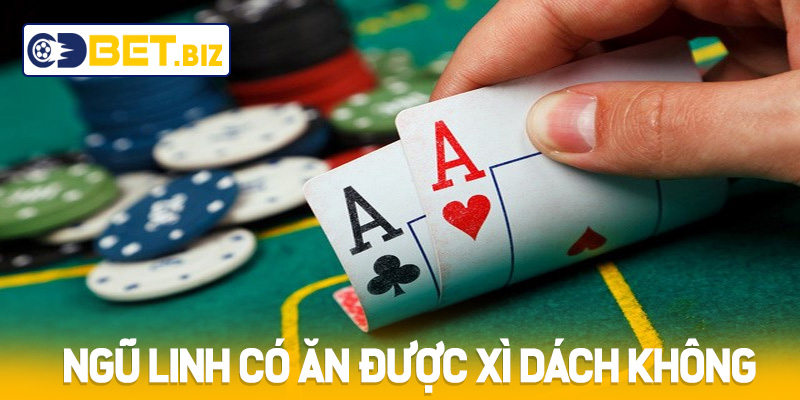 Ngũ Linh Có Ăn Được Xì Dách Không? Những Lưu Ý Quan Trọng